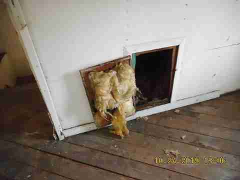 9230 Meyers (42)_m.jpg